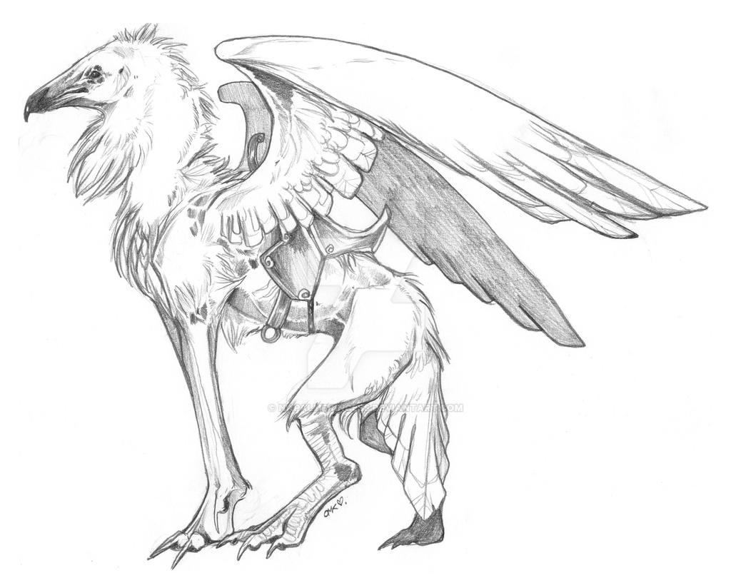 Egyptian Vulture Gryphon