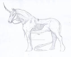 Cadaver Horse Sketch