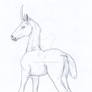 Saddlebred Unicorn Fol