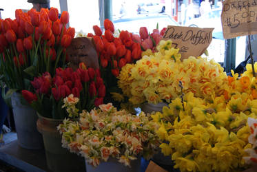 Flower Market Close Up