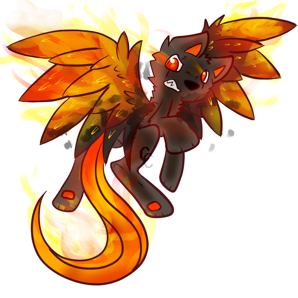 Pheonix adoptable