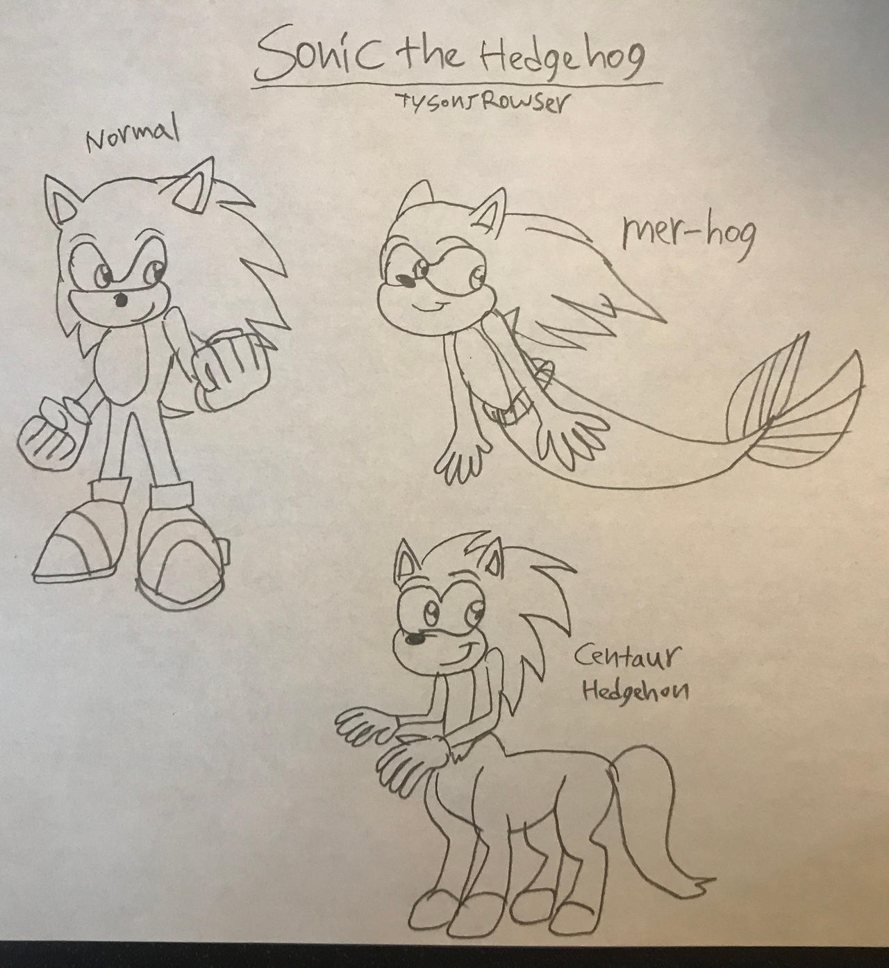 Forms Of Sonic The Hedgehog Forms Of Sonic The Hedgehog