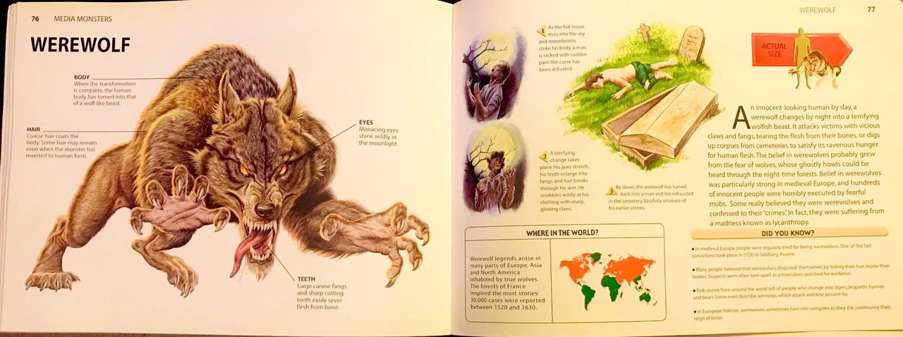 Werewolf Rectnum Werewolf by RowserlotStudios1993 on DeviantArt