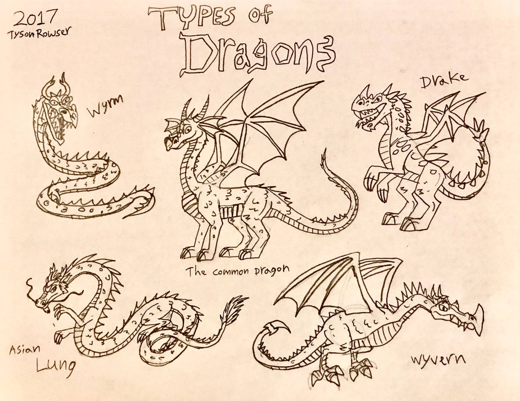 Types of Dragons 2017 by RowserlotStudios1993 on DeviantArt