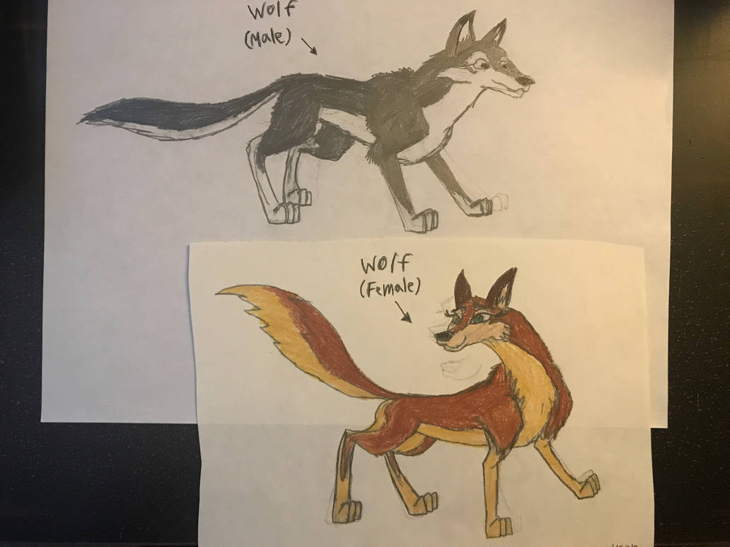 Wolves by RowserlotStudios1993 on DeviantArt