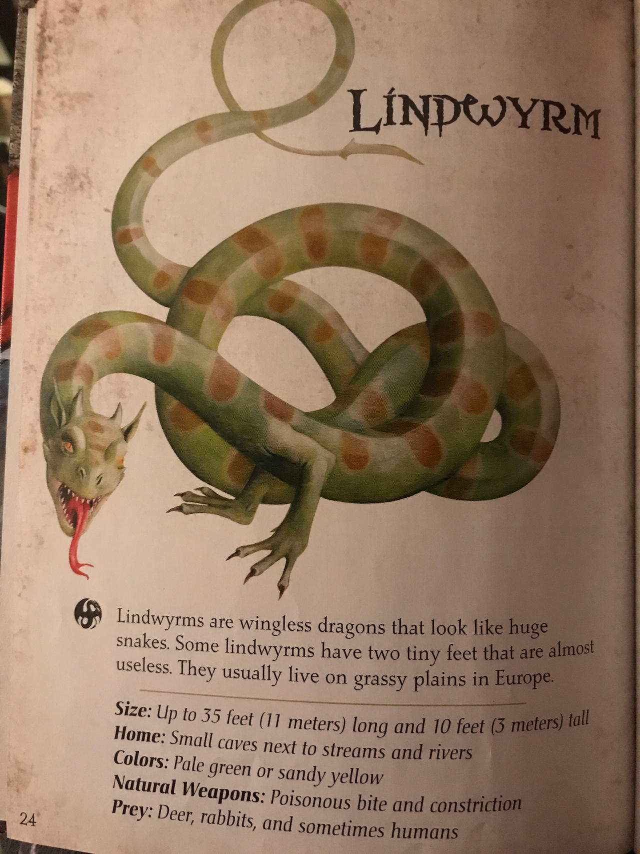 Lindworm by RowserlotStudios1993 on DeviantArt