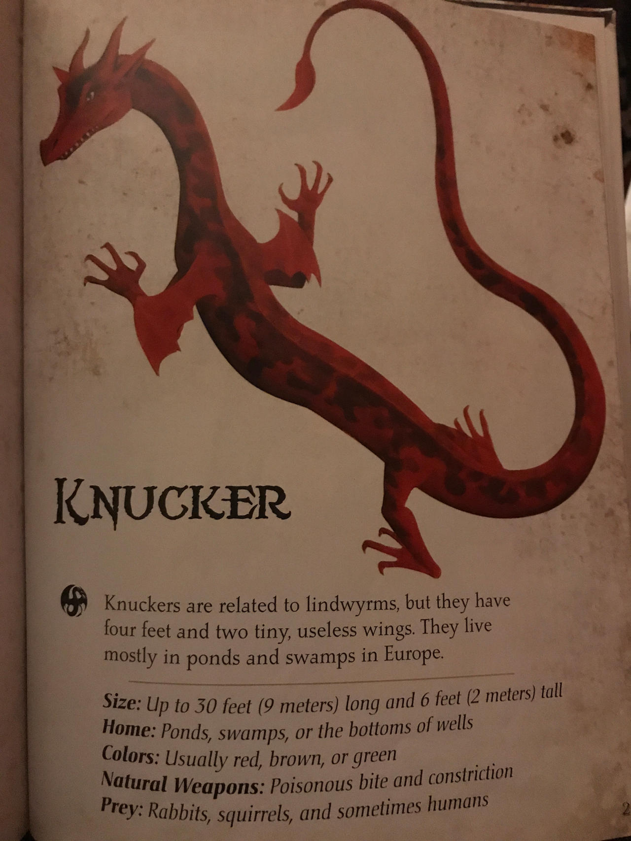 Knucker by RowserlotStudios1993 on DeviantArt