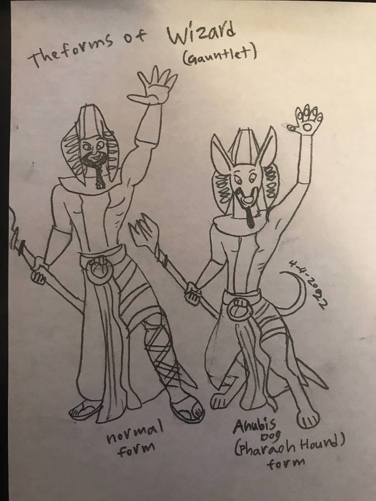 The forms of Gauntlet Dark Legacy Wizard by RowserlotStudios1993 on ...