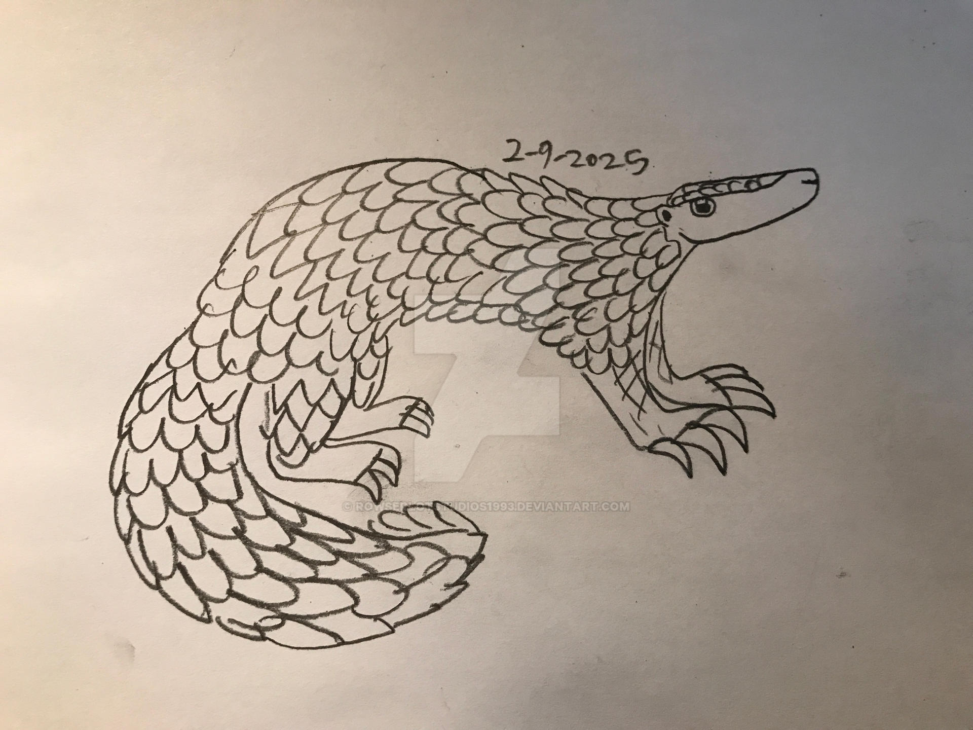 Pyndolin Rows Zoobruary Chinese Pangolin by RowserlotStudios1993 on DeviantArt