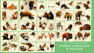 Animal Encyclopedia of Animals collage