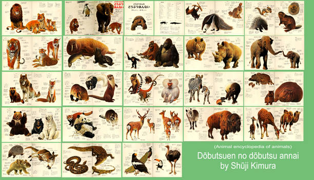 Animal Encyclopedia of Animals collage