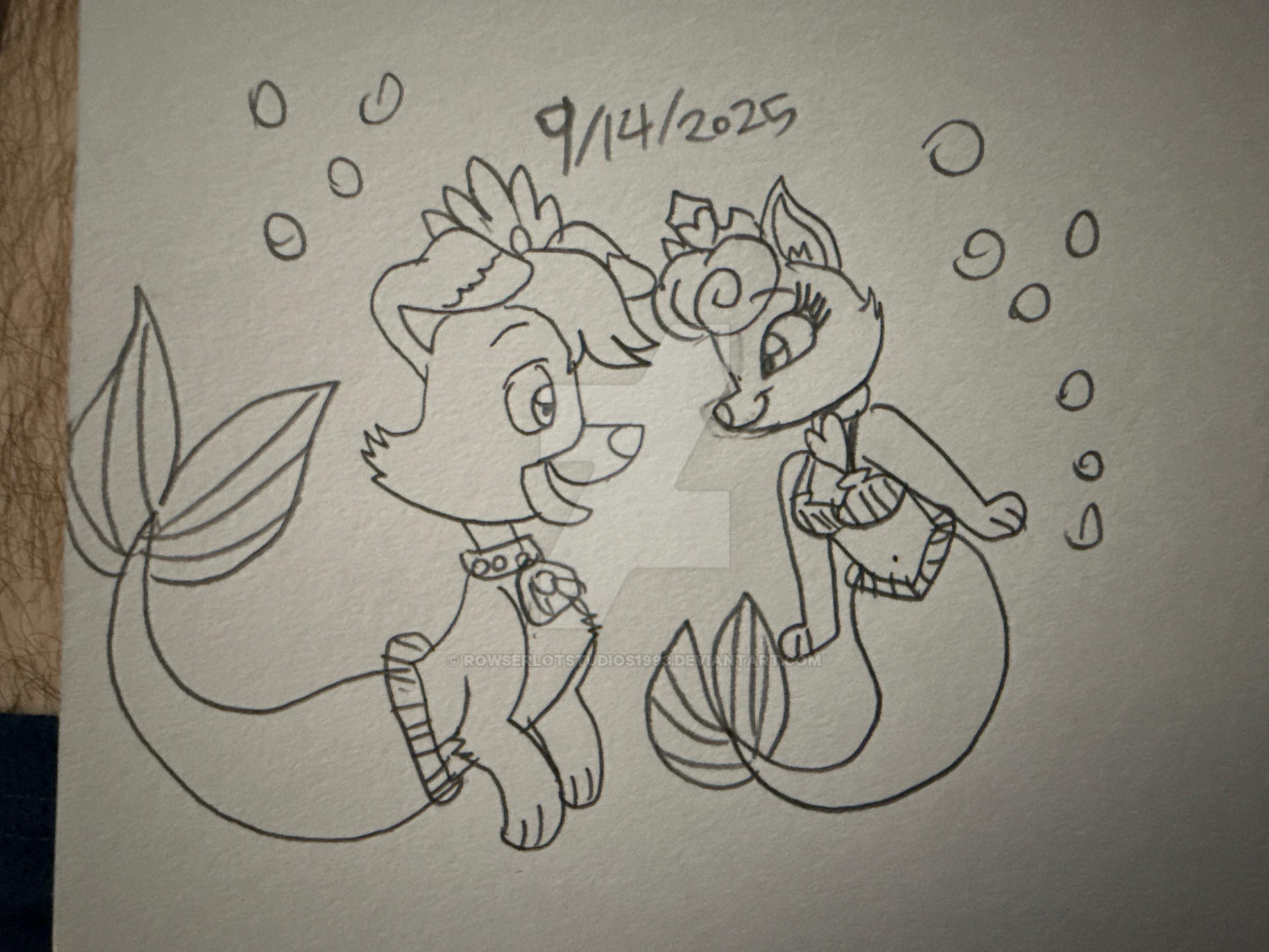 Merb Puppet The Merpup and the Mercat by RowserlotStudios1993 on DeviantArt