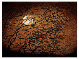 The Intriguing night
