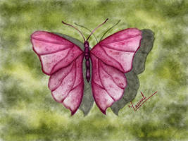 Pink butterfly