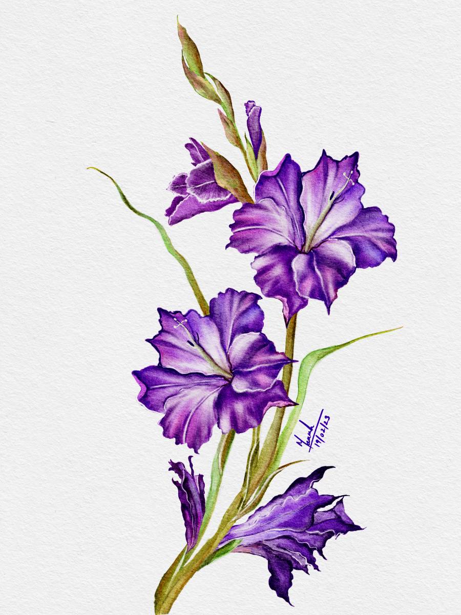 My digital watercolor artwork: Beautiful Gladiolus by ...