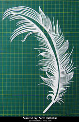 Papercut Art #27 - Feather by ParthKothekar