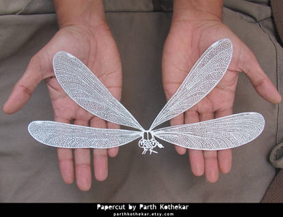 Intricate Papercut Dragonfly