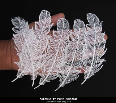 Papercut Deviantart Explore the Best Papercut Art | DeviantArt