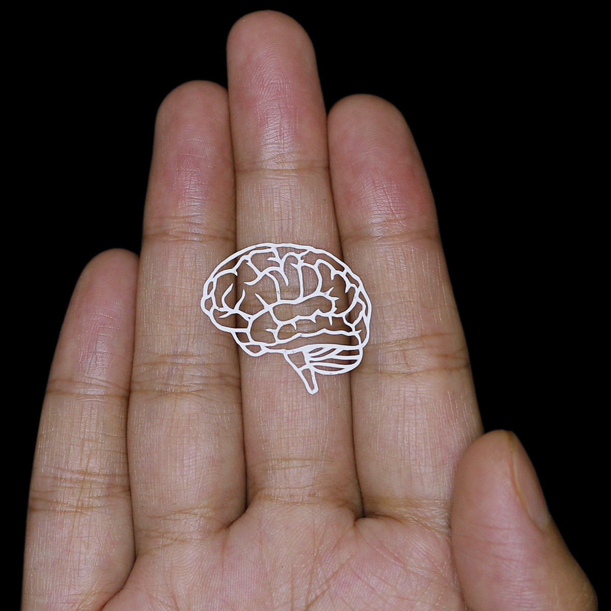 papercut animation 08 frames Rotating brain art by ParthKothekar on DeviantArt papercut animation 08 frames Rotating brain art by ParthKothekar on DeviantArt