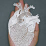 Heart Anatomy Papercut Art Papercutting Papercraft