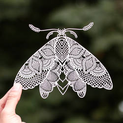 Papercut Template Papercutting Art Paper Butterfly