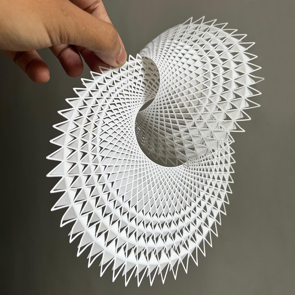 Illusion Papercut Art Papercutting Craft Hand cut