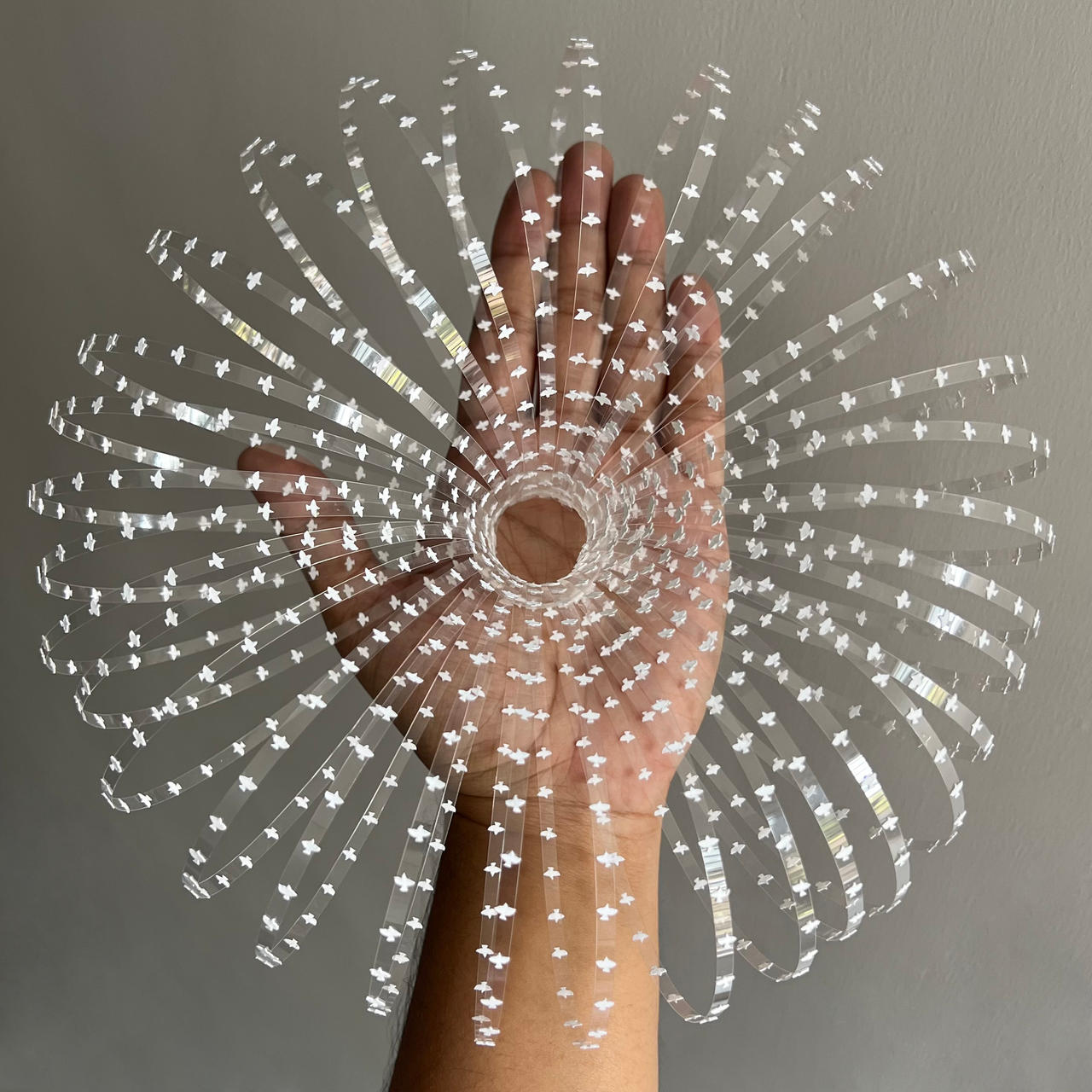 Bird Vortex Papercut Art Papercutting Craft Nature