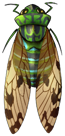 Emerald Cicada by momma-kuku