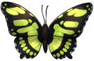 Malachite by momma-kuku