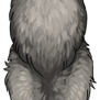 Small Canine pelt - albino