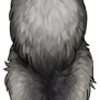 Small Canine pelt - marble