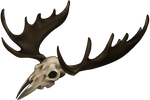 Skull - Moose by momma-kuku
