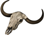 Skull - Yak by momma-kuku