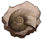 Shell fossil by momma-kuku