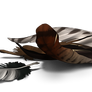 Featherpile