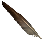 Feather - brown by momma-kuku