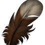 Small feather - Hazel