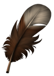 Small feather - Hazel by momma-kuku