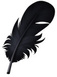 Small feather - Raven by momma-kuku