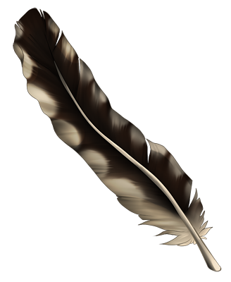 Long feather - Pheasant