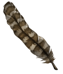 Long feather - striped by momma-kuku