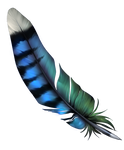 Feather - Bluejay by momma-kuku