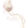 Peacock feather - Albino