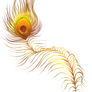 Peacock feather - Golden