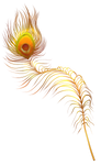Peacock feather - Golden by momma-kuku