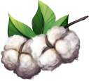Cotton