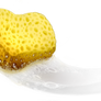 Squeaky Clean Sponge