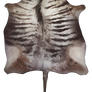 Large Horned pelt - Brown