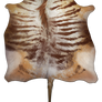 Large Horned pelt - Golden