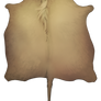 Large Horned pelt - Ochre